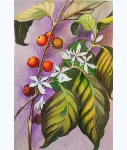 Inayat Sethi-Life in Stillness.