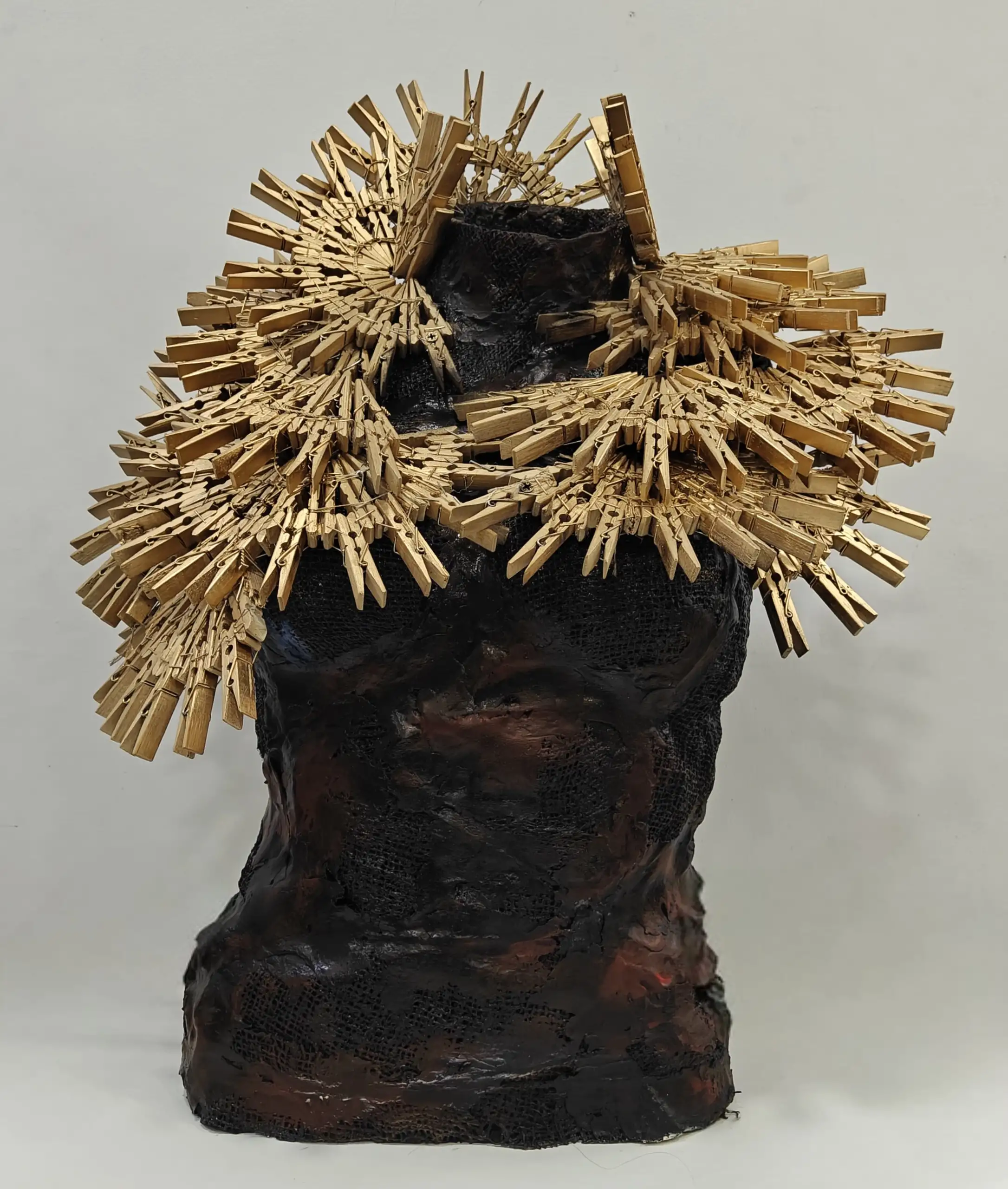 Rahat Kapoor-Pinned in Place - on sale without frame - 2500