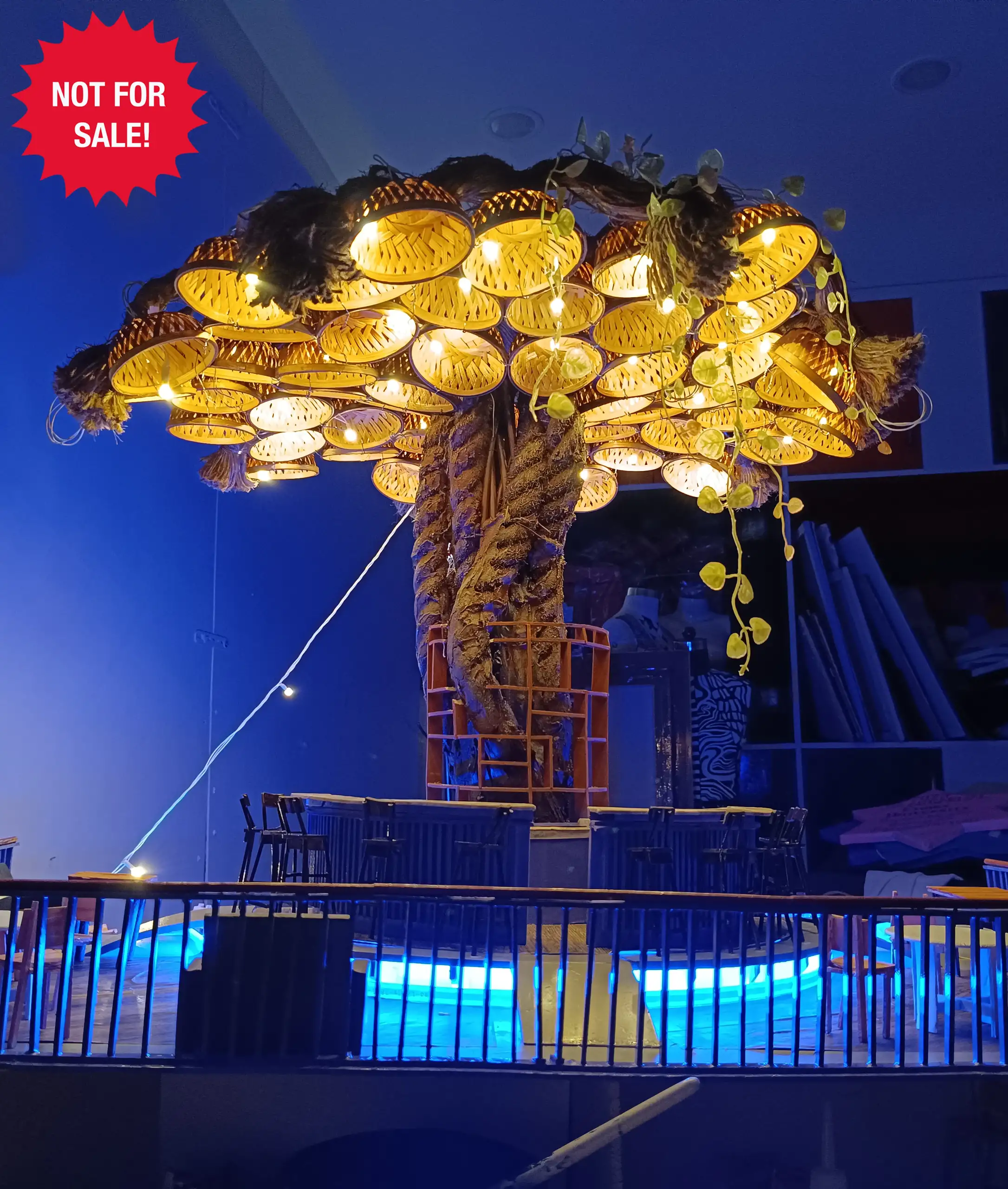 Sia Kashyap-Canopy of Sustainability