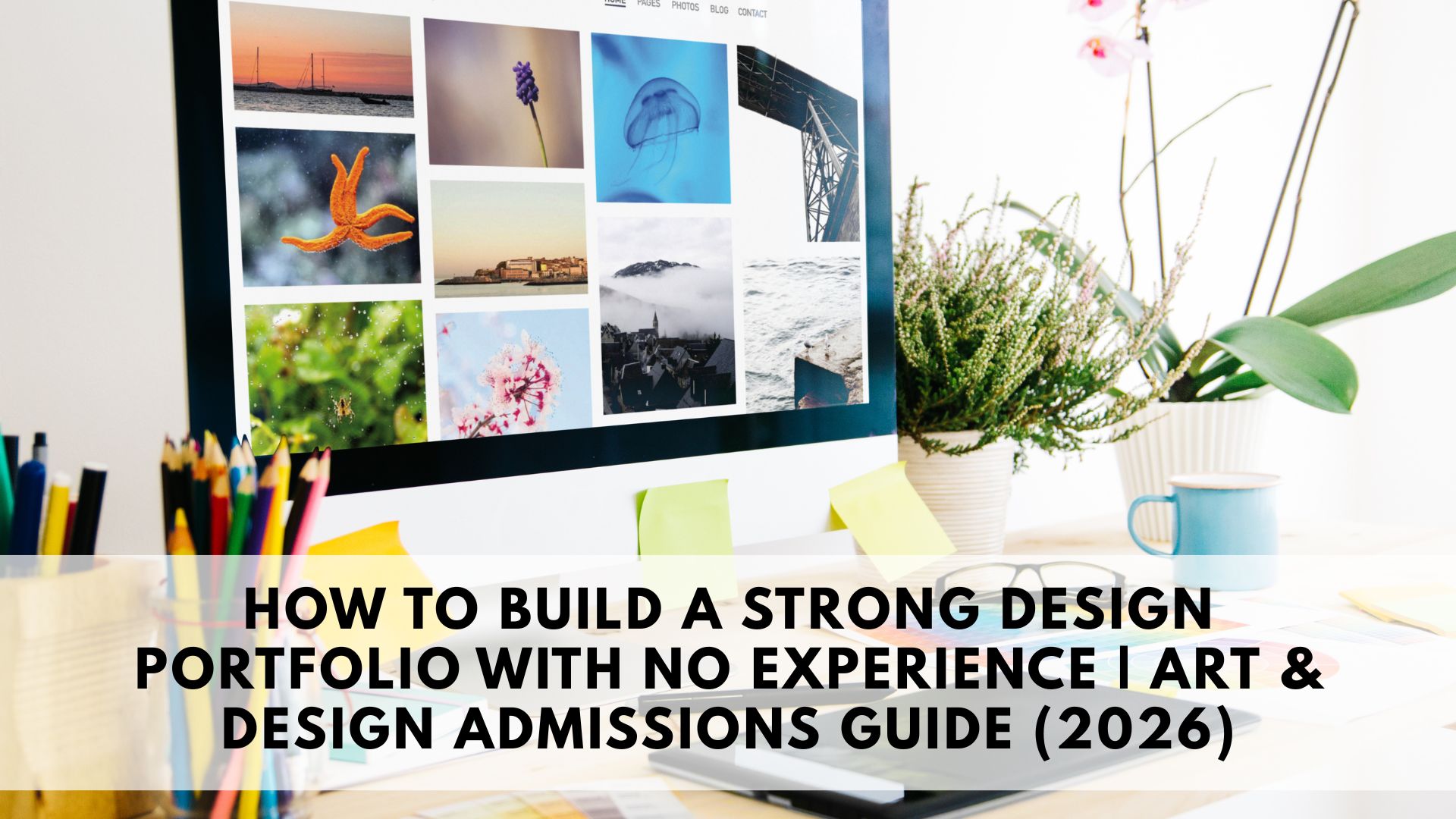 How to Build a Strong Design Portfolio with No Experience | Art ...